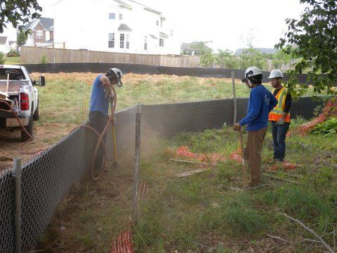 Branch Tree Experts Photo