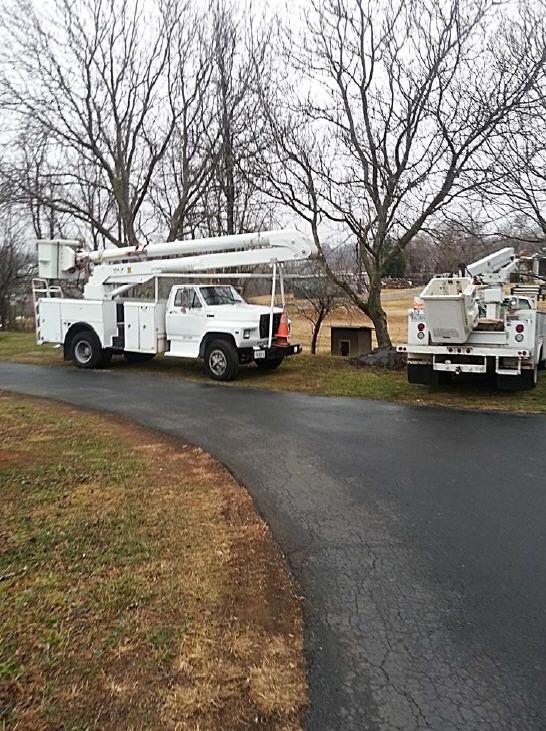 Mark's Tree & Stump Removal Photo