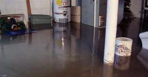 LM Companies LLC Photo