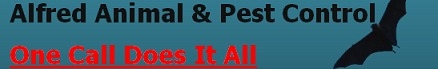 Alfred Animal and Pest Control - Fairfield, NJ