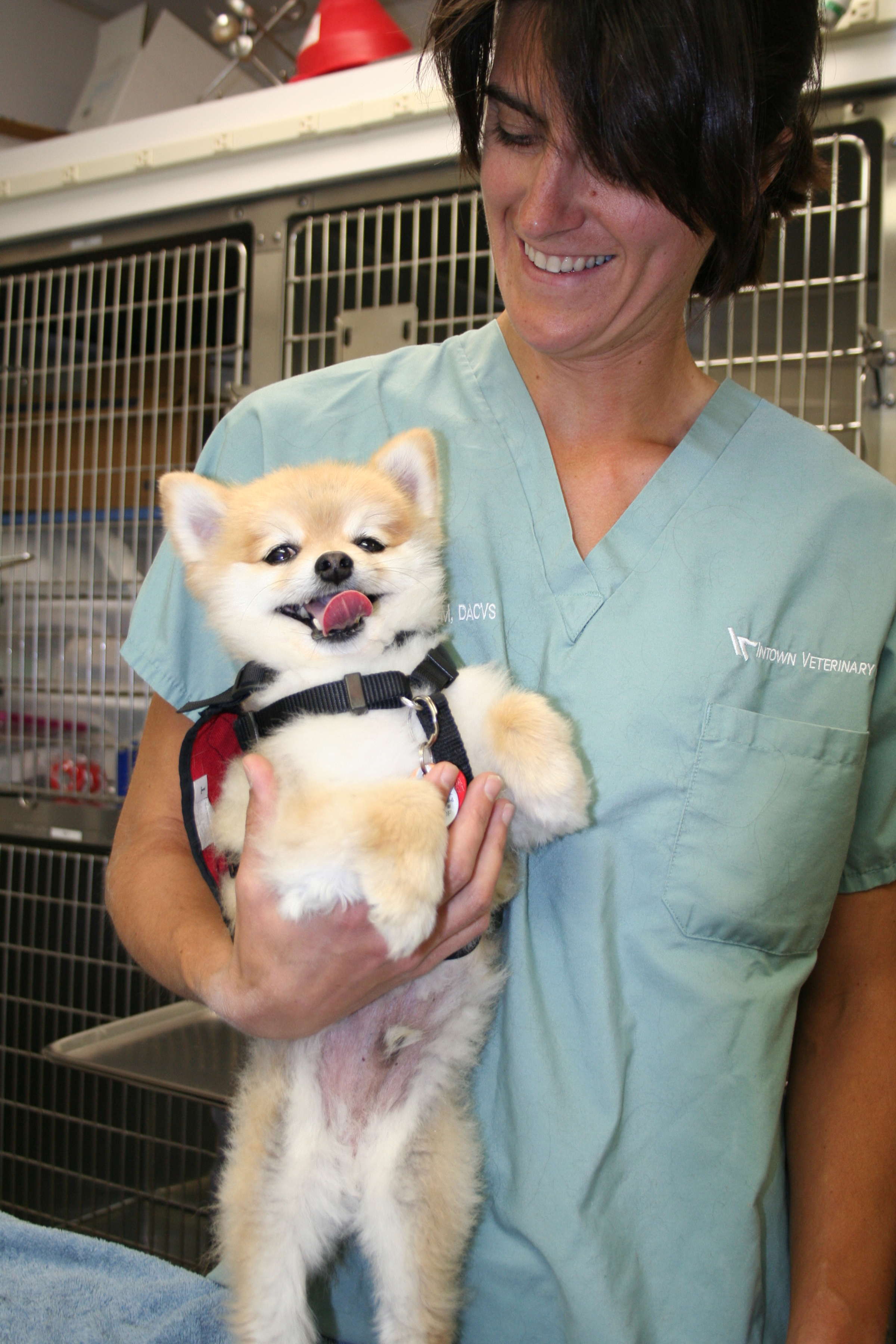 Bulger Veterinary Hospital Photo