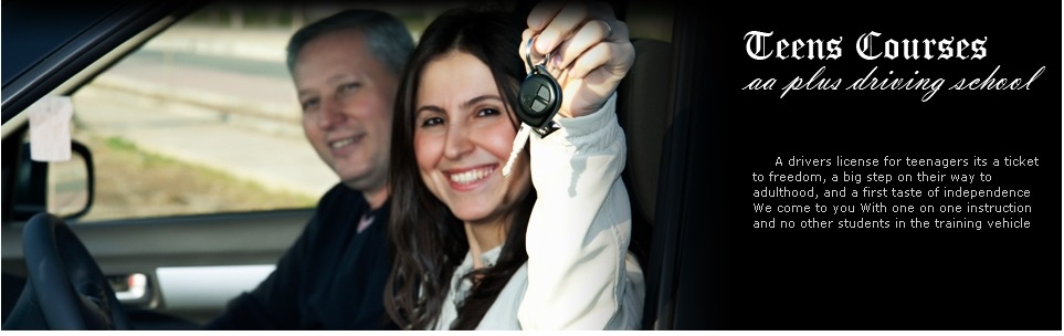 AA PLUS DRIVING SCHOOL - Annandale, VA