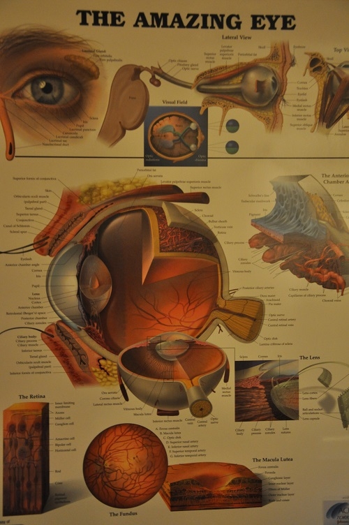 Schroeder Eye Care, LLC Photo