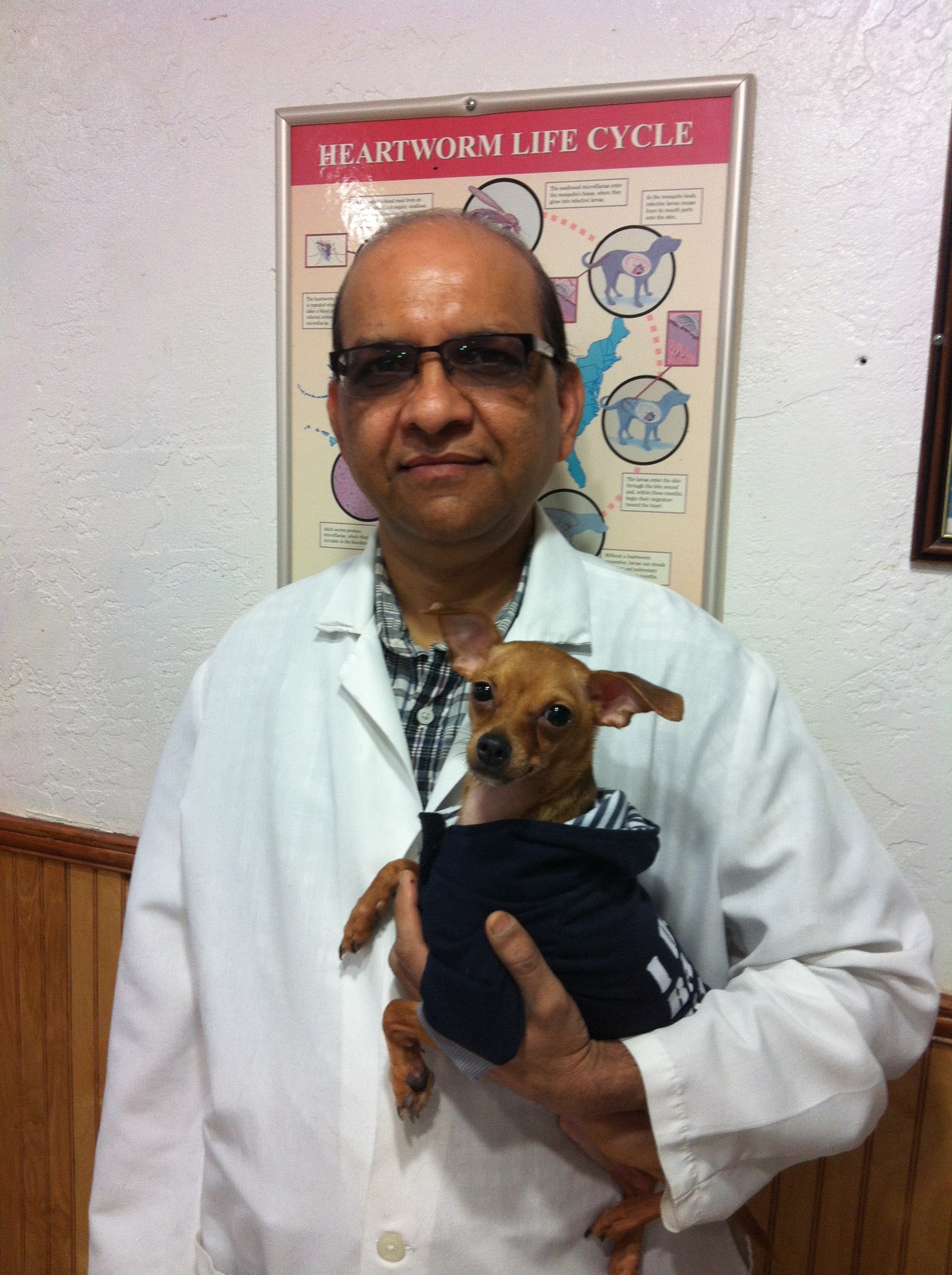 Woodbourne Animal Clinic Photo