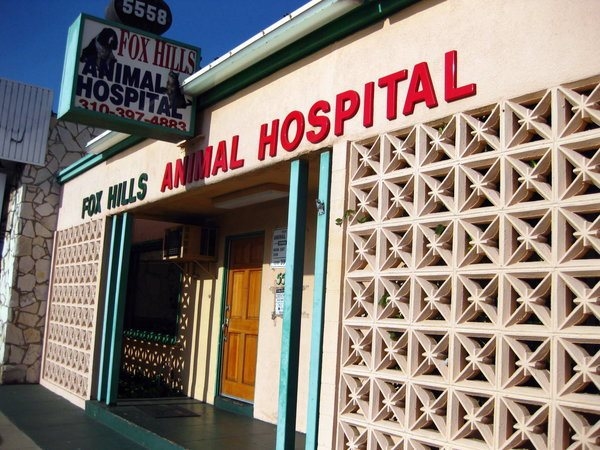 Fox Hills Animal Hospital