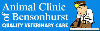 Vets in NY Brooklyn 11204 Animal Clinic of Bensonhurst 2249 65 St (347)554-7438