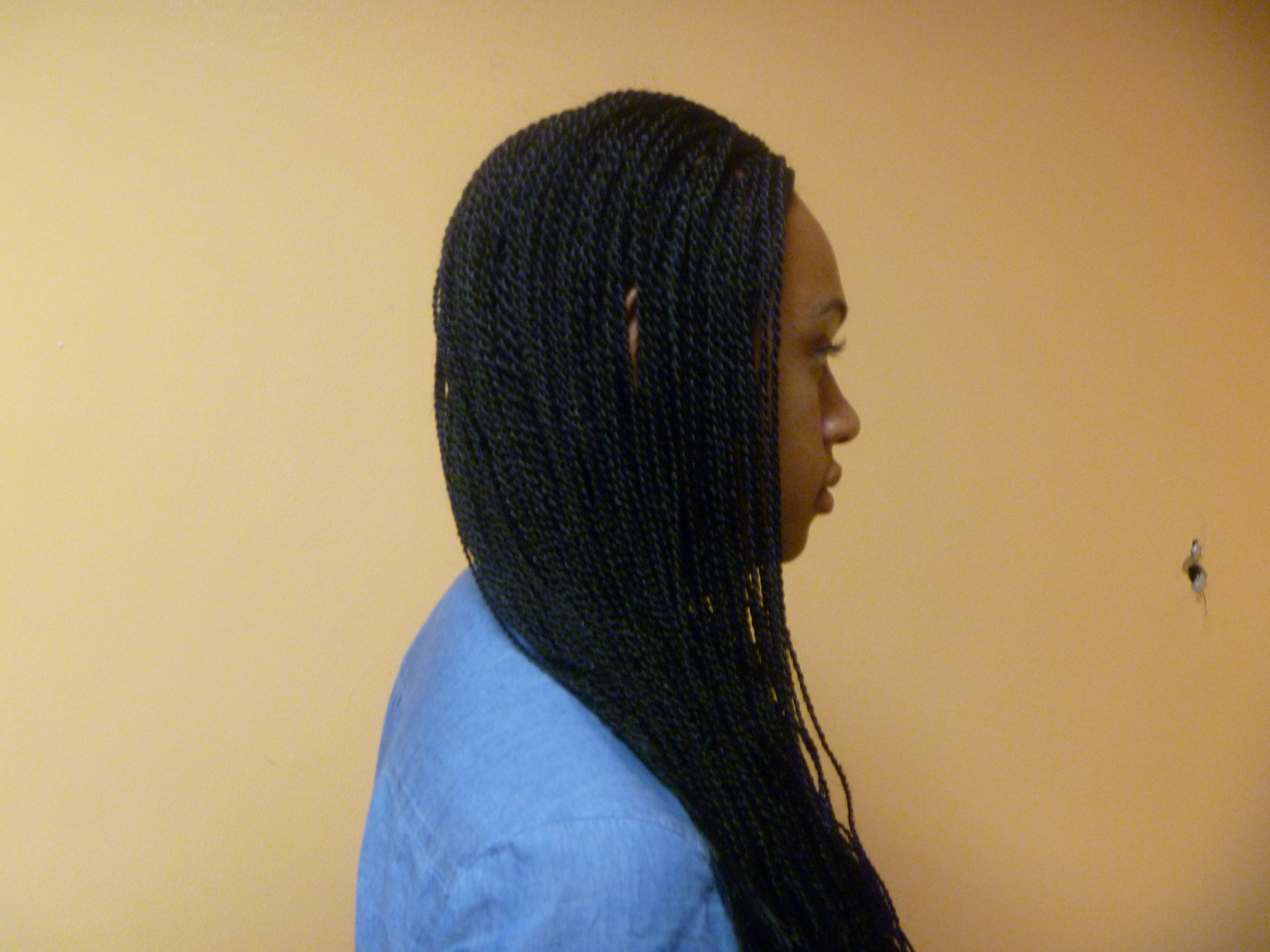No 1 Hair Braiding Photo