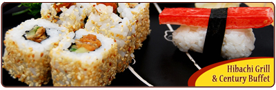 Hibachi Grill & Century Buffet
