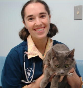 Aldie Veterinary Hospital - Chantilly, VA