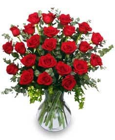 Flowers Galore