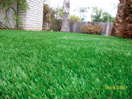Go Turf Direct - Oceanside, CA