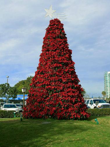Magical Holiday Designs - San Bernardino, CA