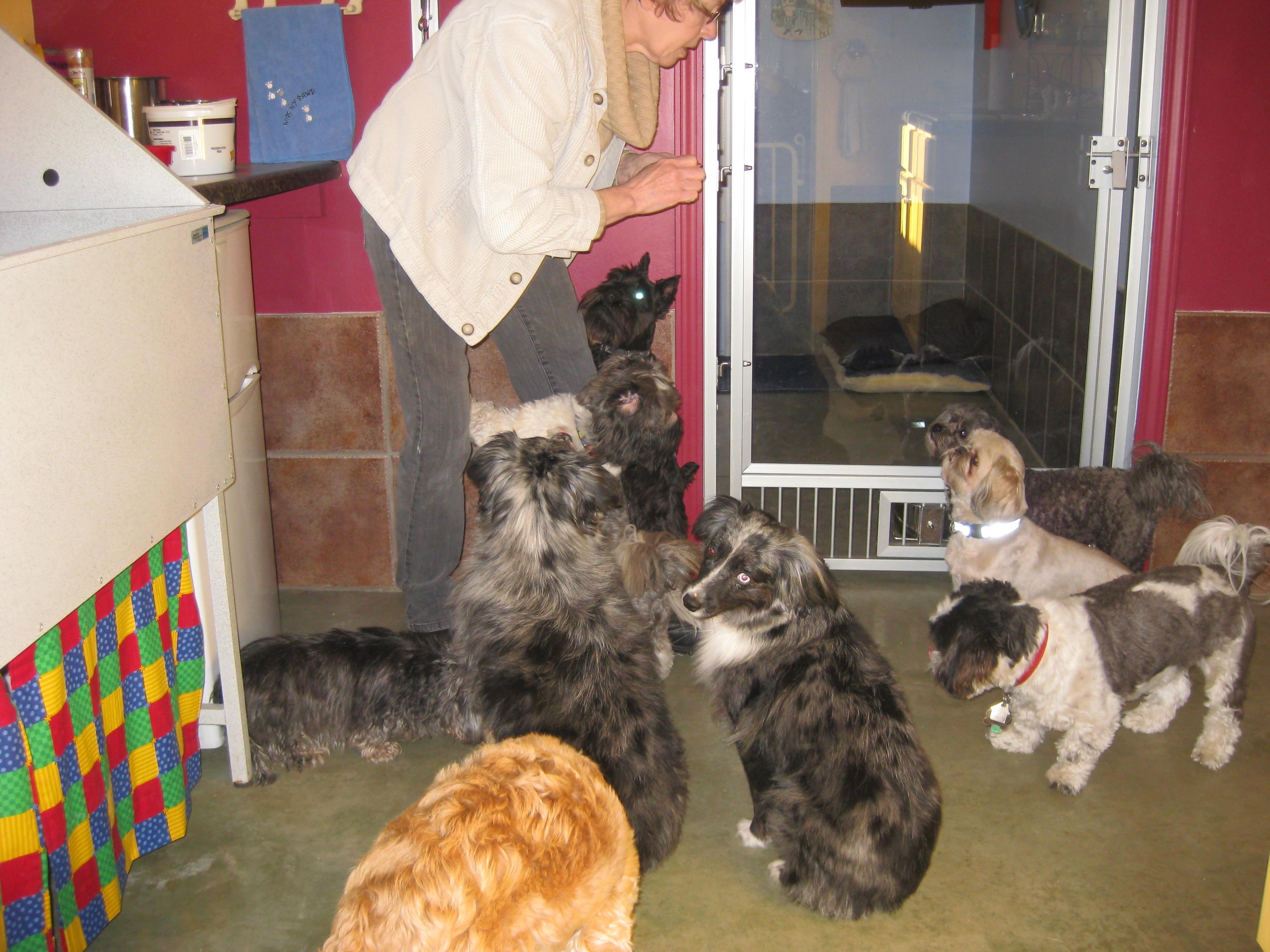 Rushville, IL Map & Directions MapQuest