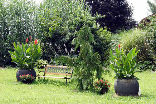 Dove Nest Bed and Breakfast - Saint Joseph, MI