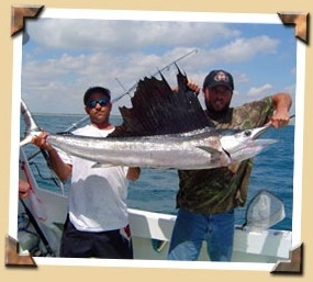 Sea Cross Deep Sea Fishing Miami Photo