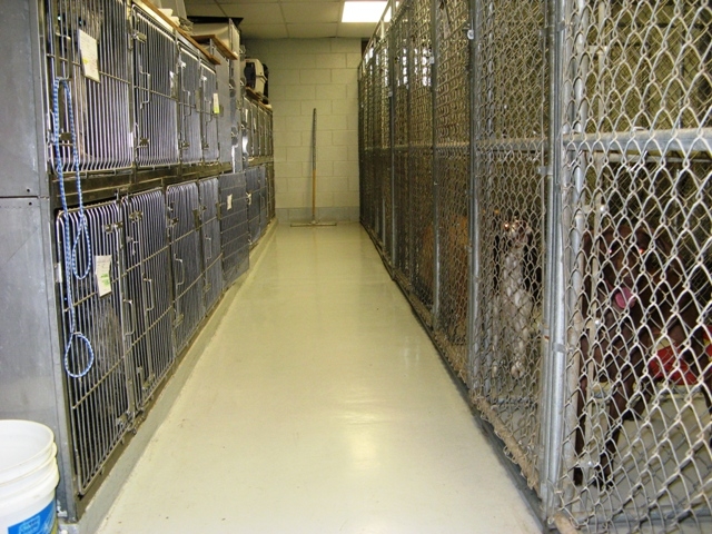 Far Hills Animal Clinic - Dayton, OH