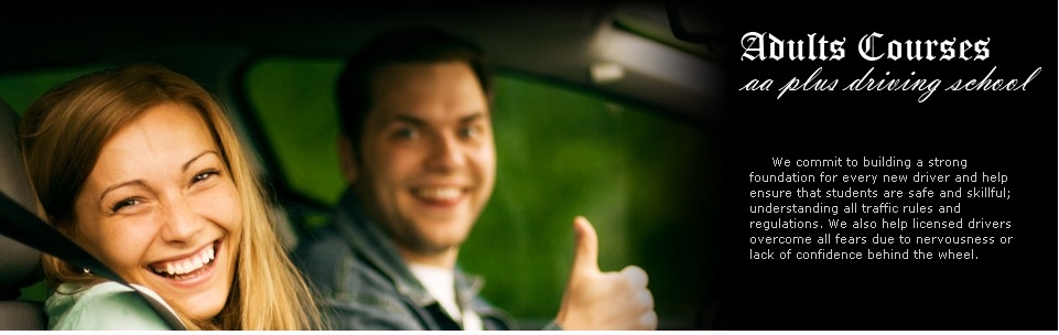 AA PLUS DRIVING SCHOOL - Annandale, VA