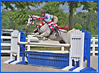 Desert Rose Ranch Equestrian Center - Jupiter, FL