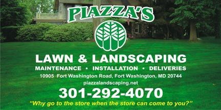 Piazza Lawn Piazza Lawn