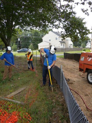 Branch Tree Experts Photo