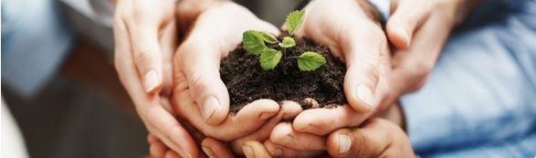 Brown Smith Wallace Photo