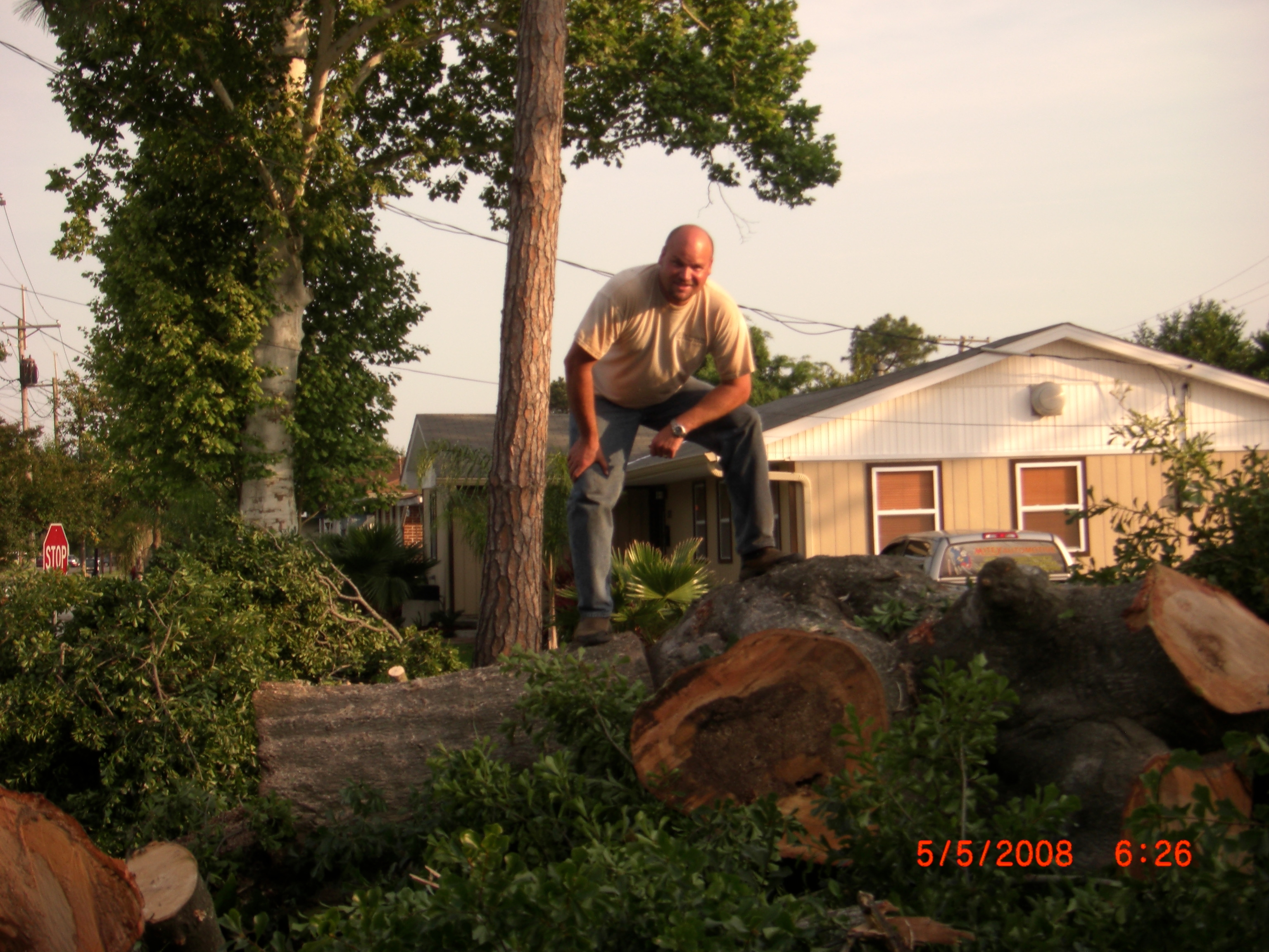 GE Tree Service Inc - Manitou Springs, CO