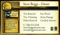 Business Card for Briggs Tree Service in Lansing Illinois Business Card for Briggs Tree Service in Lansing Illinois