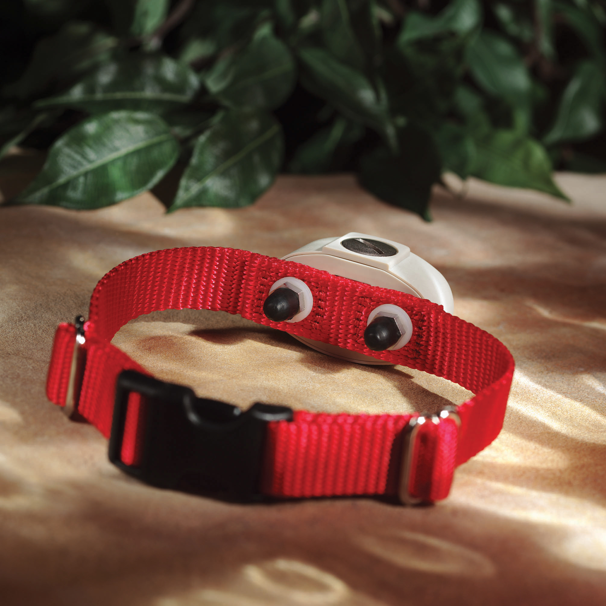 Hope's Dog Fencing Photo