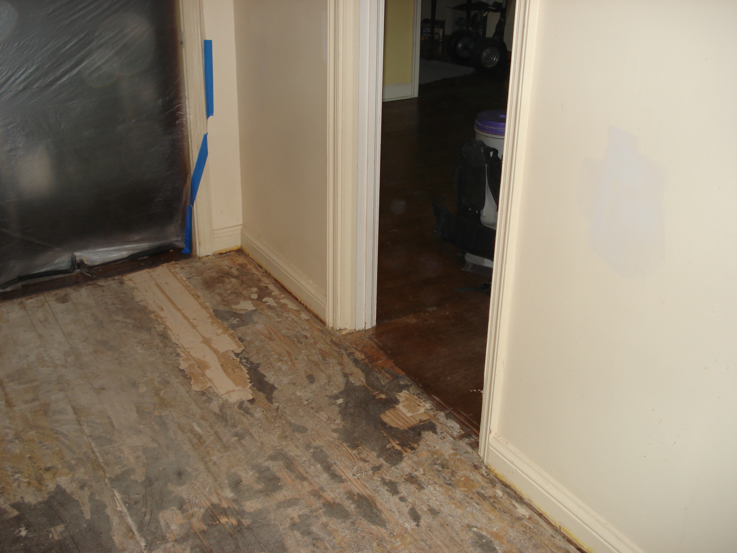 orlandos s hardwood floors coupons near me in bluffton orlandos s hardwood floors coupons near me in bluffton