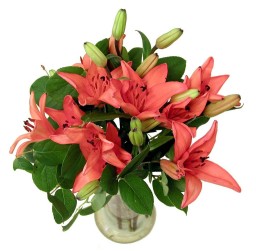 Chester's Flower Shop & Greenhouses Photo