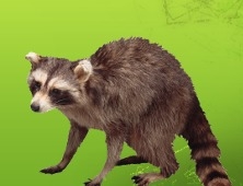 Alfred Animal and Pest Control - Fairfield, NJ