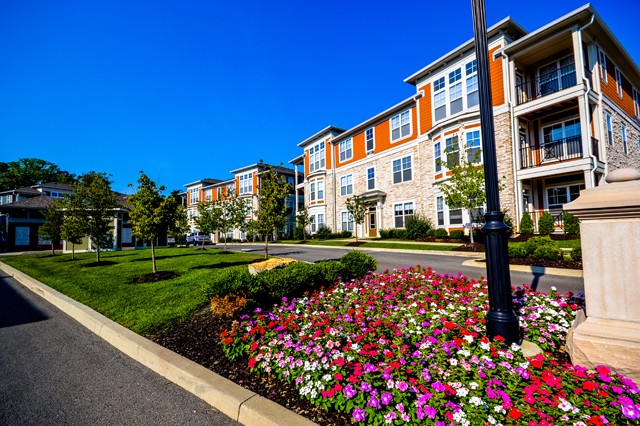 City Flats at Renwick Apartments Photo