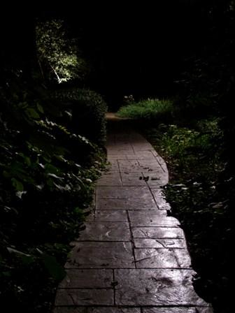 The Illuminators Outdoor Lighting Photo