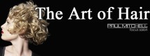 The Art Of Hair