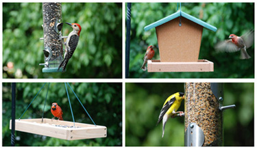 Wild Bird Center of Annapolis - Annapolis, MD