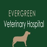 Evergreen Veterinary Hospital