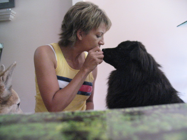PAWZ FOR HEALTH In Home Dog Training - Severn, MD