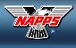 Members in good standing with the National Association of Professional Process Servers