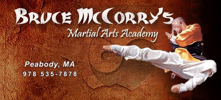 Bruce McCorry's Martial Arts Academy Logo