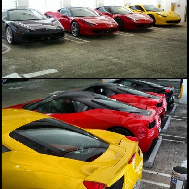 South Beach Exotic Rentals