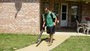 D's Lawn Service - Olive Branch, MS
