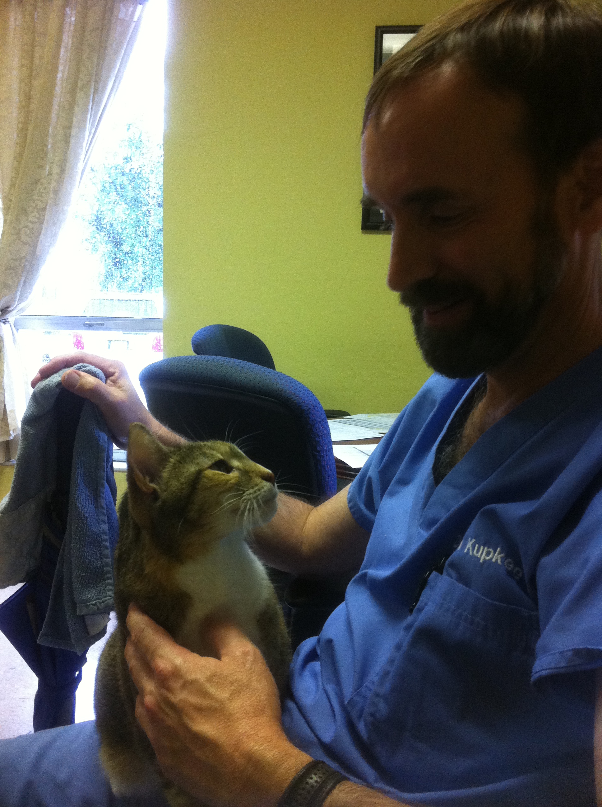 Sabal Chase Animal Clinic