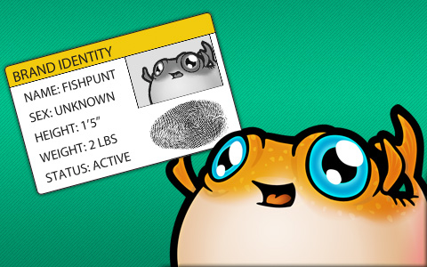 Fishpunt Design Studio Photo