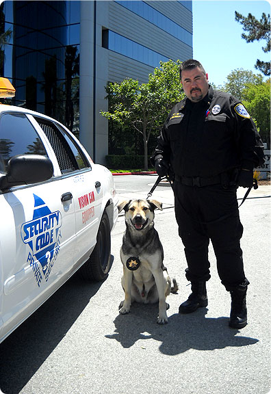 Security Code 3 - San Jose, CA