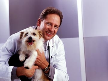 Vets in CA Pasadena 91107 VCA Foothill Veterinary Hospital 2204 E. Foothill Blvd (626)657-8100