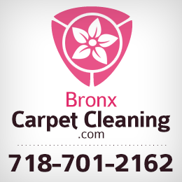 Carpet Cleaning Bronx