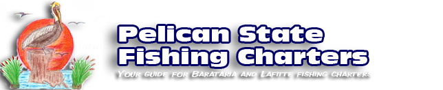 Pelican State Fishing Charters - classified ad