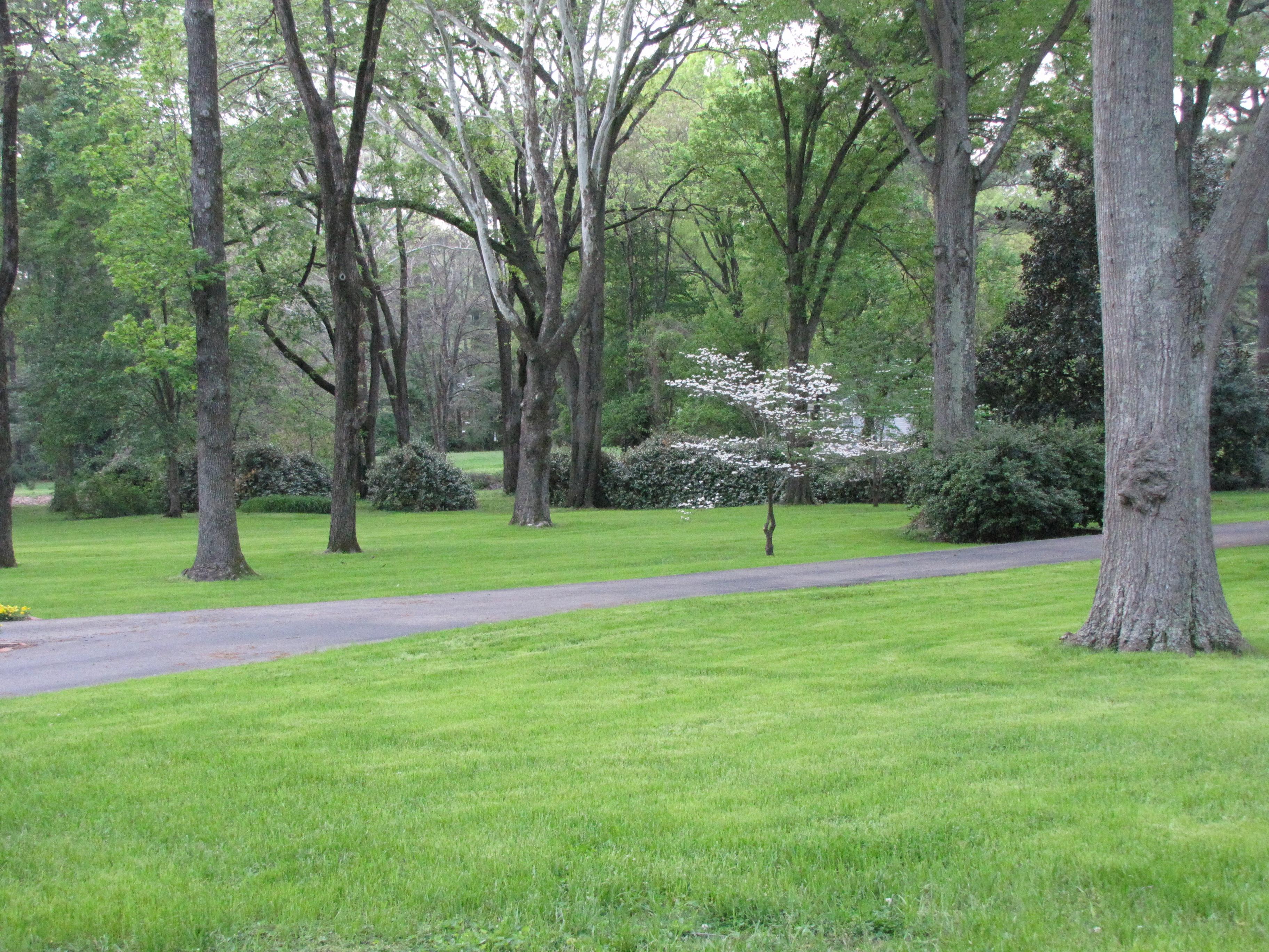 Superior Lawn Maintenance in Humboldt, TN - 731-995-0678