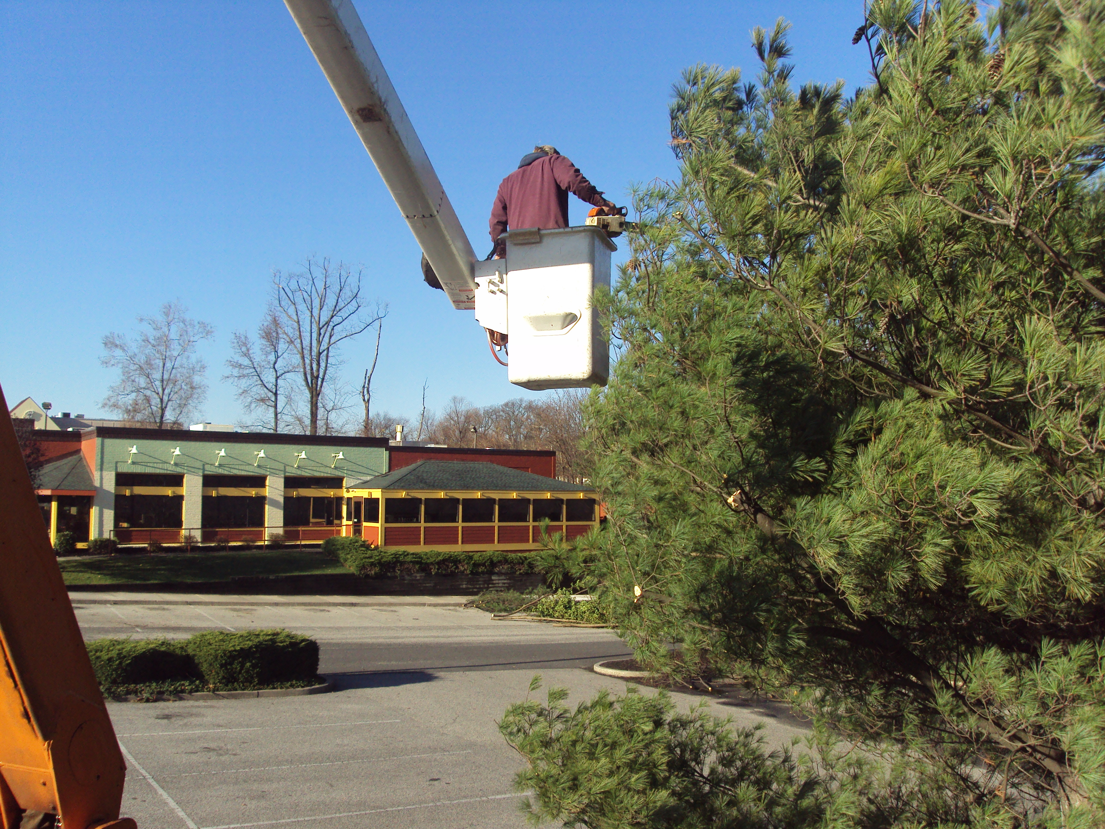 Dependable Land Maintenance & Tree Service LLC - Woodbury, NJ