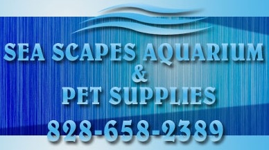 Sea Scapes Aquariums Pond & Pet Supplies